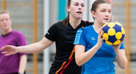 Competitie-indeling zaal 2026-2027 deels bekend